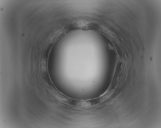 X0000071830421200607141705