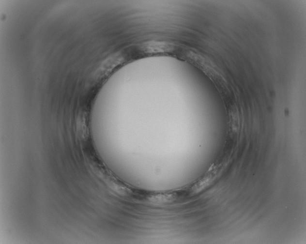 X0000071830422200607141705