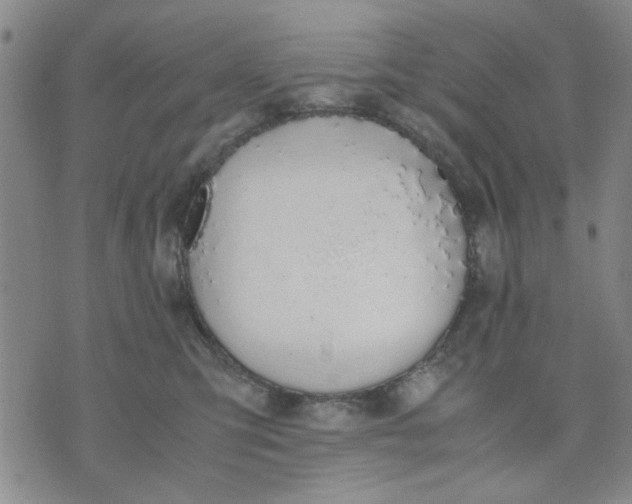 X0000071830423200607141705