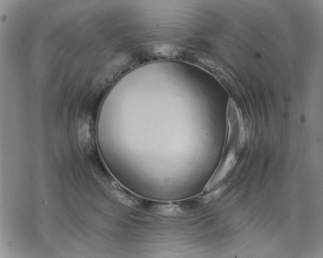 X0000071830424200607141705