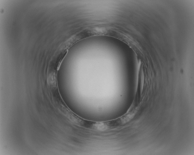 X0000071830425200607141705