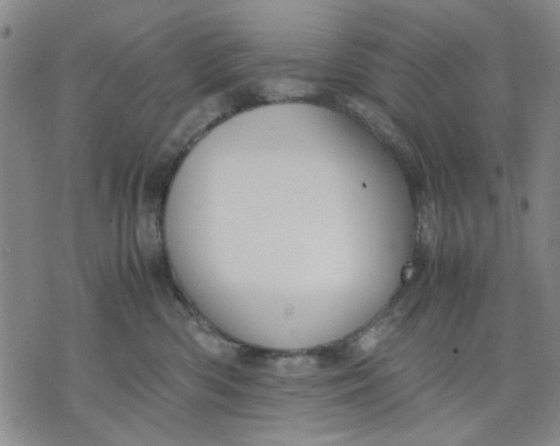 X0000071830426200607141705