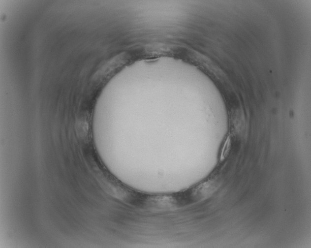 X0000071830427200607141705