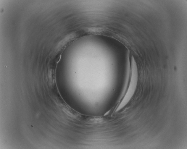 X0000071830428200607141705