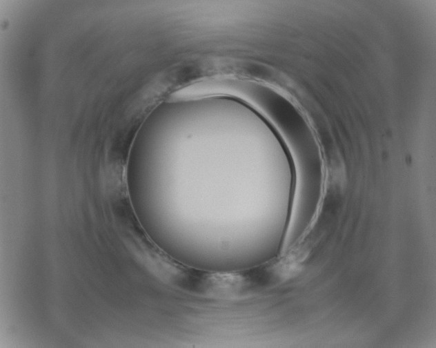 X0000071830429200607141705