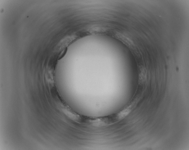 X0000071830430200607141705