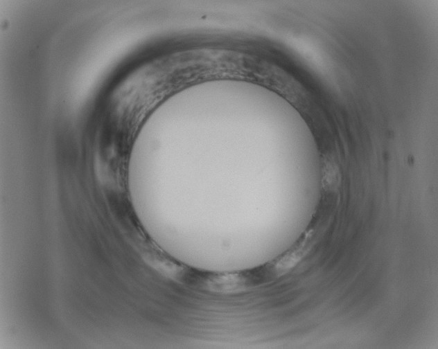 X0000071830431200607141705