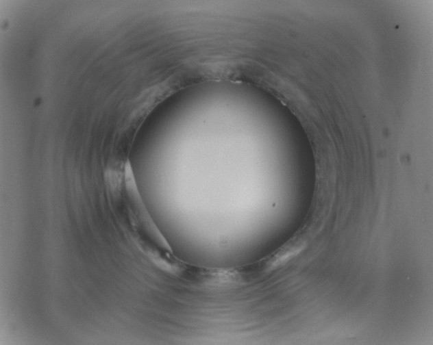 X0000071830432200607141705