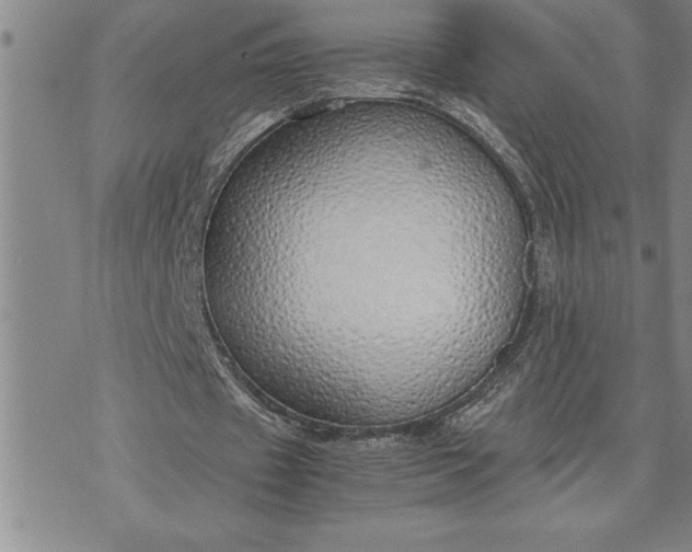 X0000071830433200607141704