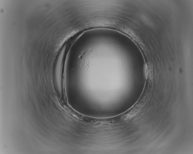 X0000071830434200607141704