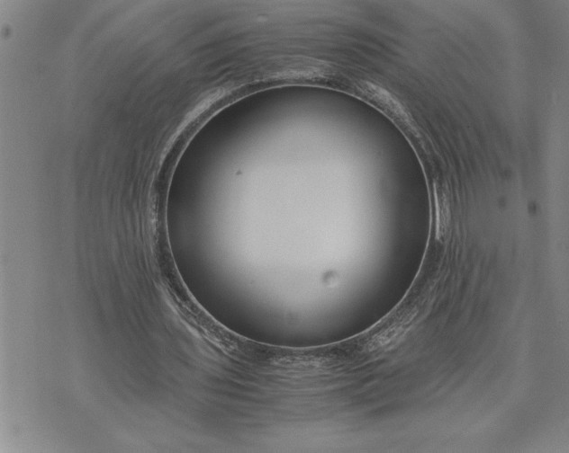 X0000071830435200607141704