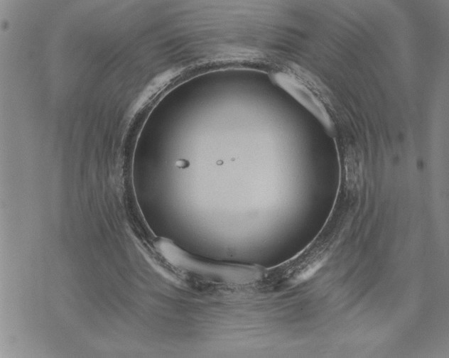 X0000071830436200607141704