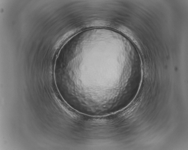 X0000071830437200607141704