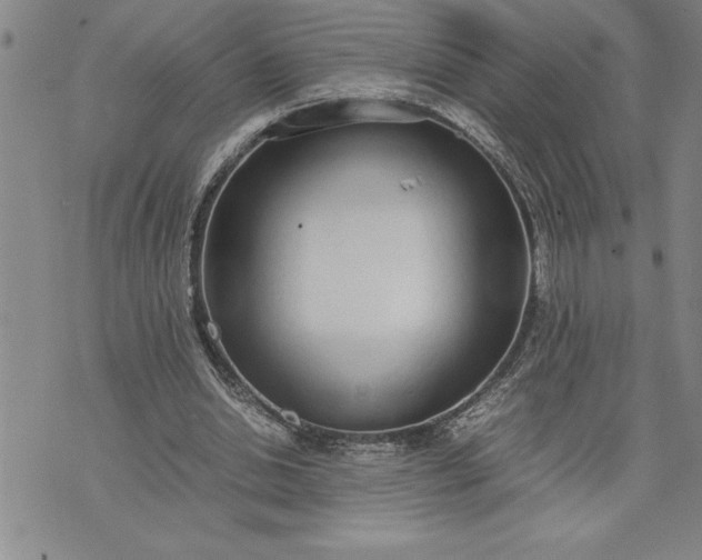 X0000071830438200607141704