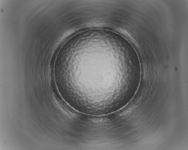 X0000071830439200607141704