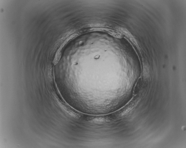 X0000071830441200607141704