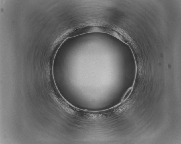 X0000071830442200607141704