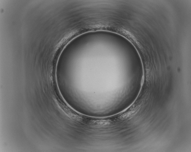 X0000071830443200607141704