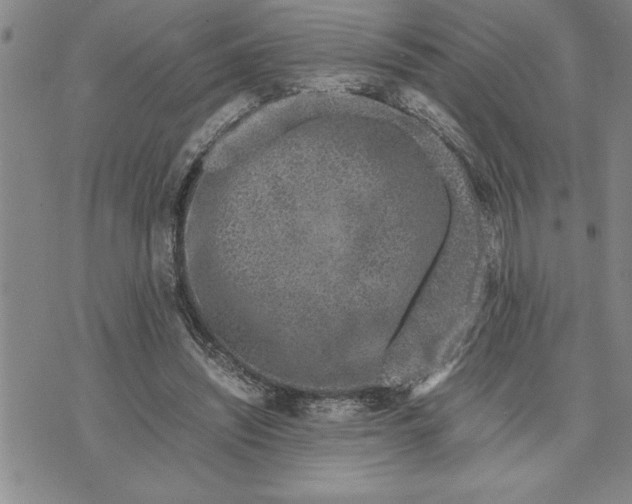 X0000071830444200607141704