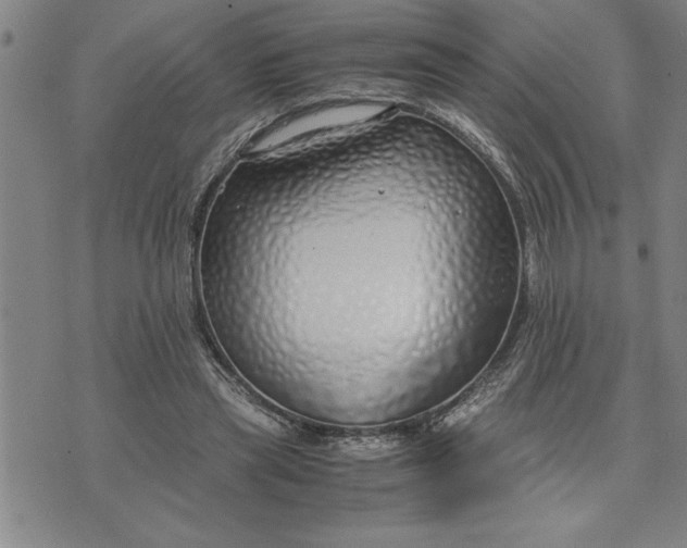 X0000071830445200607141704