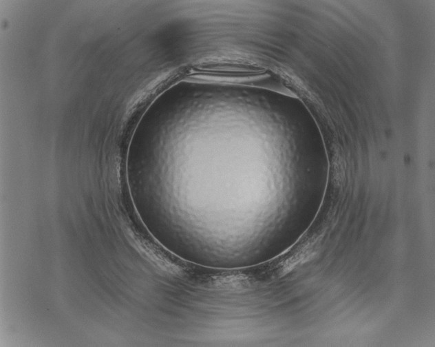 X0000071830446200607141704