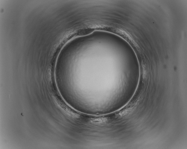 X0000071830447200607141704