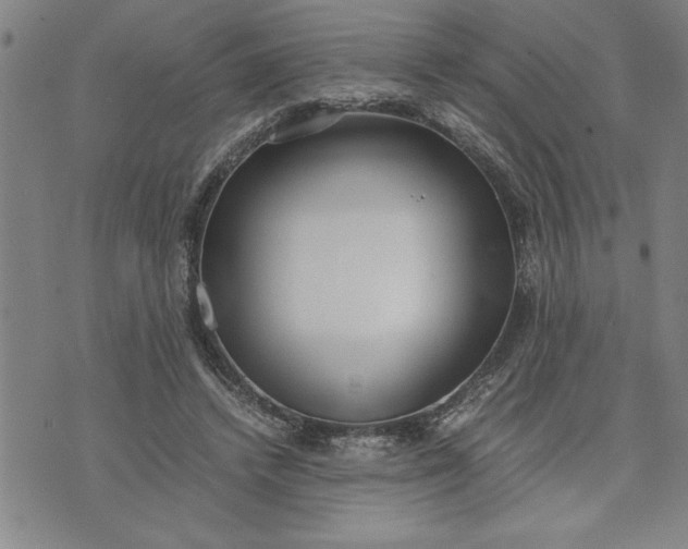 X0000071830448200607141704