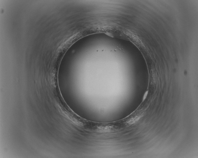 X0000071830450200607141704