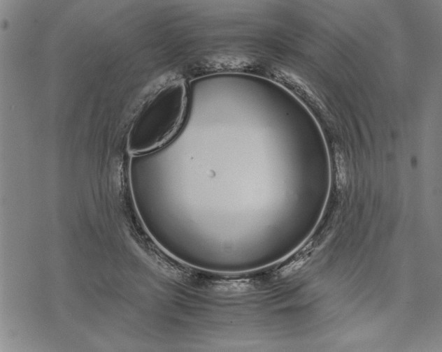 X0000071830451200607141704