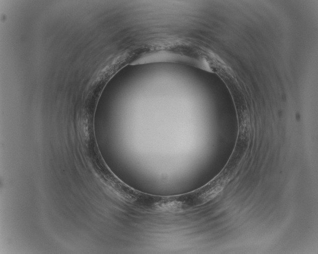 X0000071830452200607141704