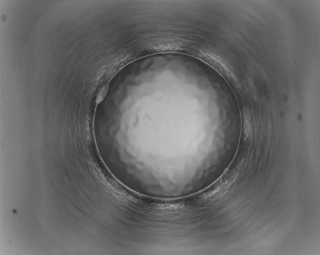 X0000071830453200607141704