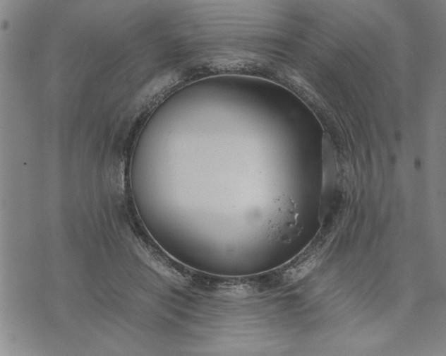 X0000071830454200607141704