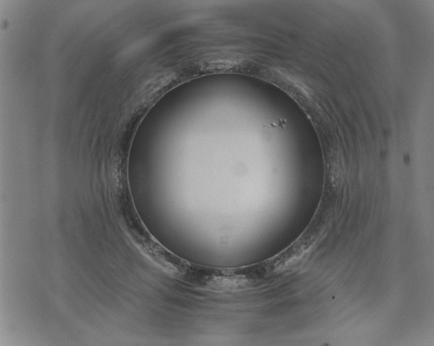 X0000071830455200607141704