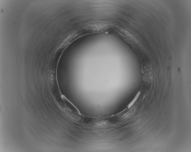 X0000071830456200607141704