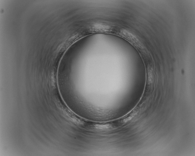 X0000071830457200607141704