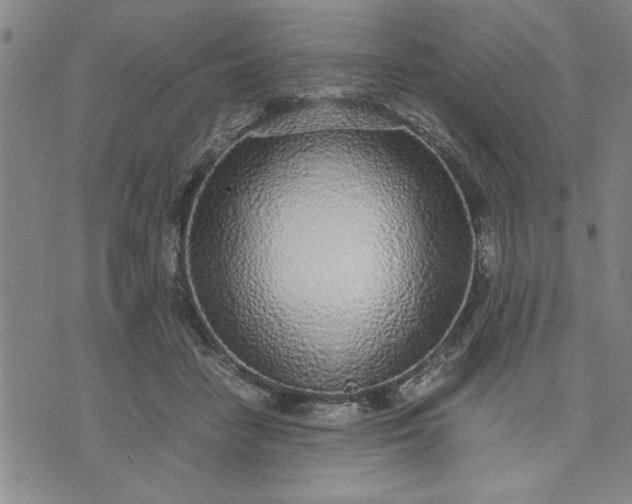 X0000071830458200607141704