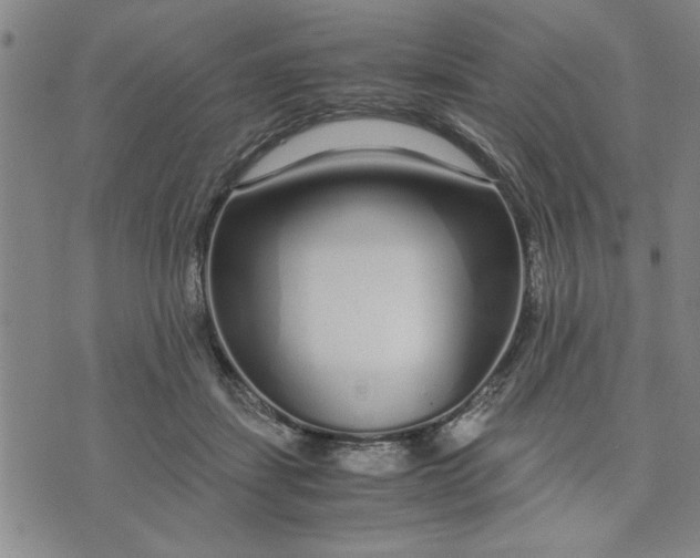 X0000071830459200607141704