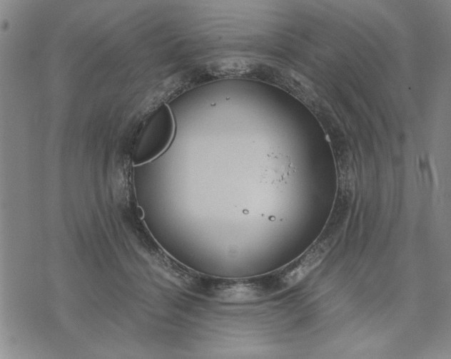 X0000071830460200607141704