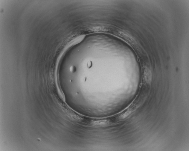 X0000071830461200607141704