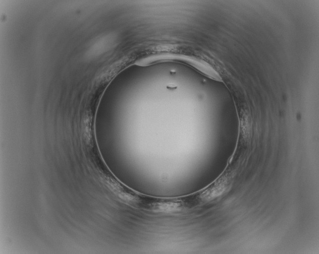 X0000071830462200607141704