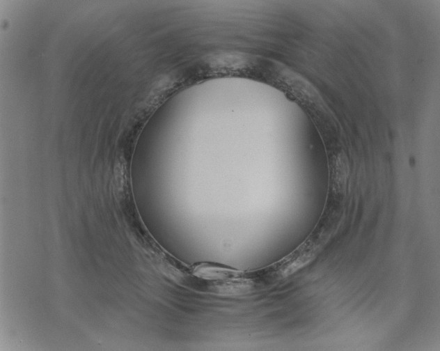 X0000071830463200607141704