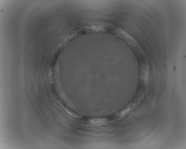 X0000071830465200607141704