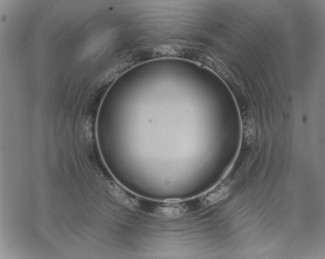 X0000071830466200607141704