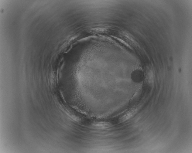 X0000071830467200607141704