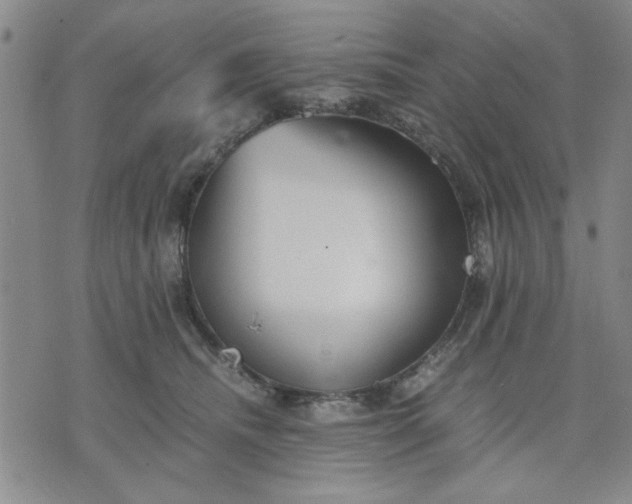 X0000071830468200607141704