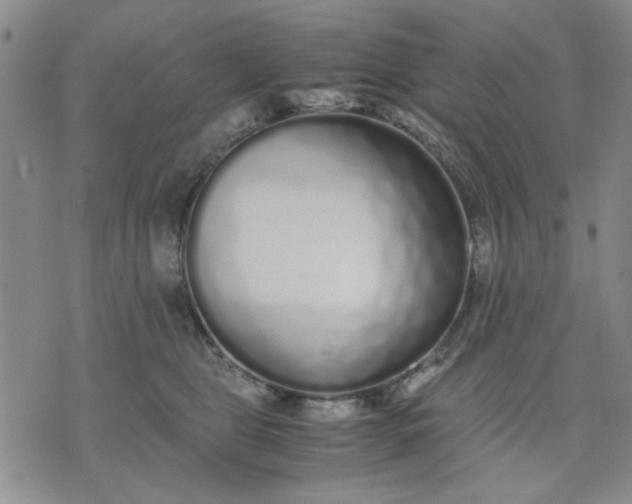 X0000071830469200607141705