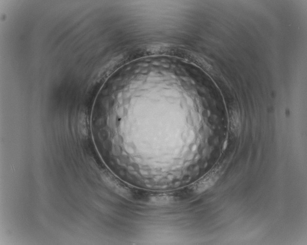 X0000071830470200607141705