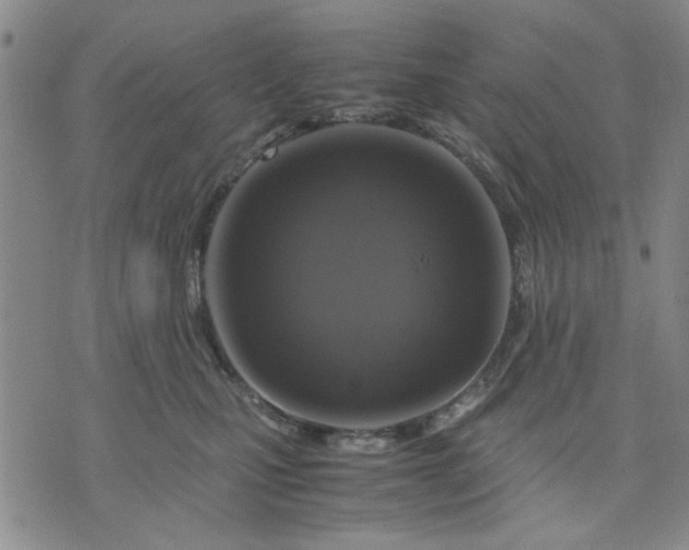 X0000071830471200607141705