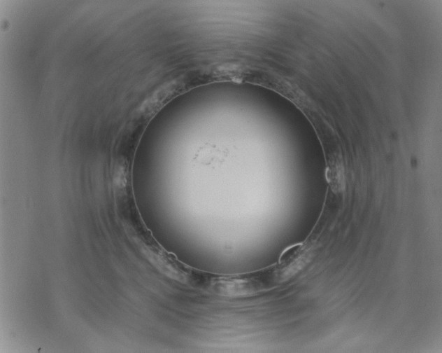 X0000071830472200607141705