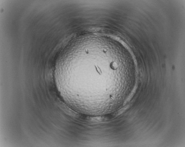 X0000071830473200607141705